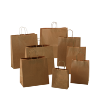 PTH 16 Paper Bag (W) Handle