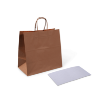 PTH D PAPER BAG (W) HANDLE