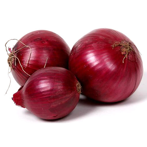 Red Onion - Shape: Round