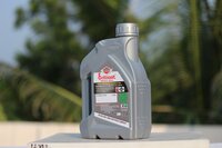 gas engine oil