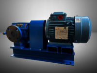 rotary gear pump