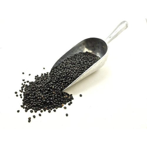 Black Shatavari Seeds
