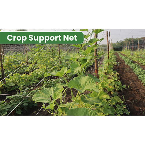 Crop Support Net
