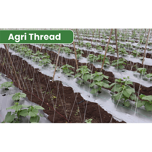 Agri Thread