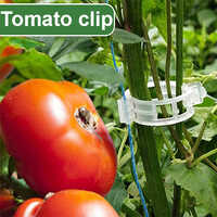 Tomato Clip Ventilated