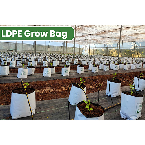 LDPE Grow Bag