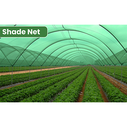 Shade Net