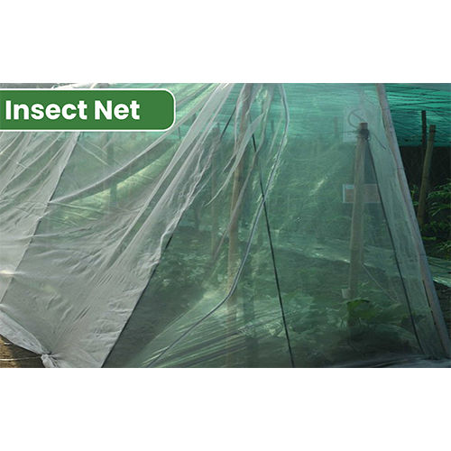 Insect Net