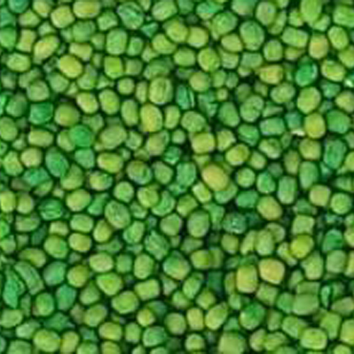 Common Mh 1142 Moong Dal Seed