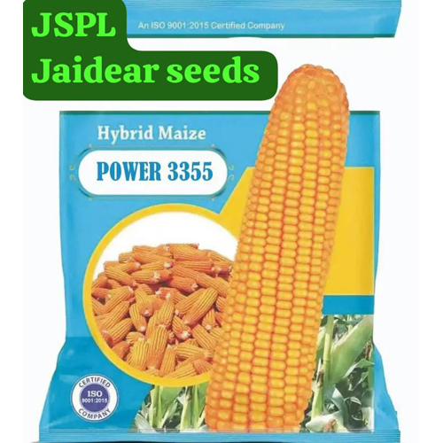 Common Hybrid Maiz Seed