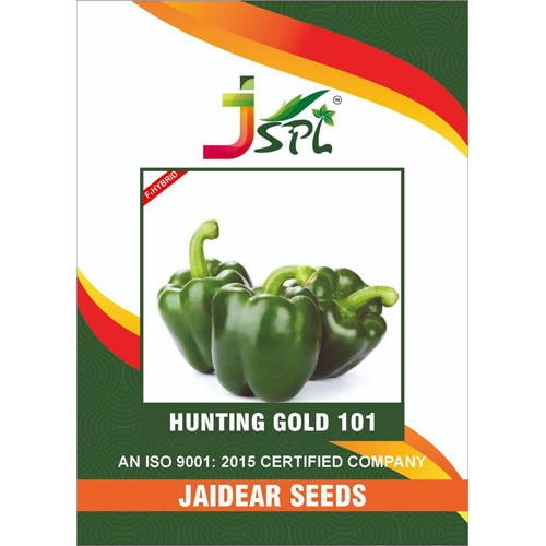 Common Capsicum Seed