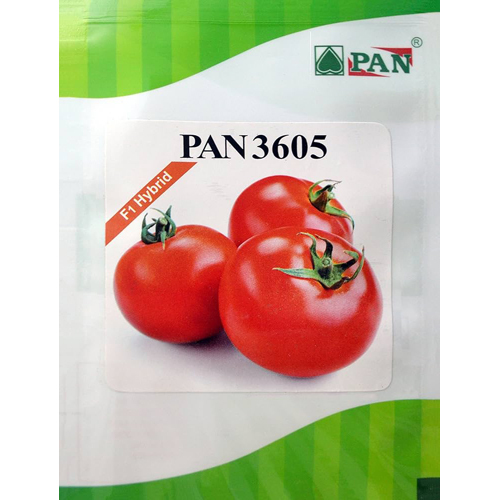 Common Hybrid Tomato Seed