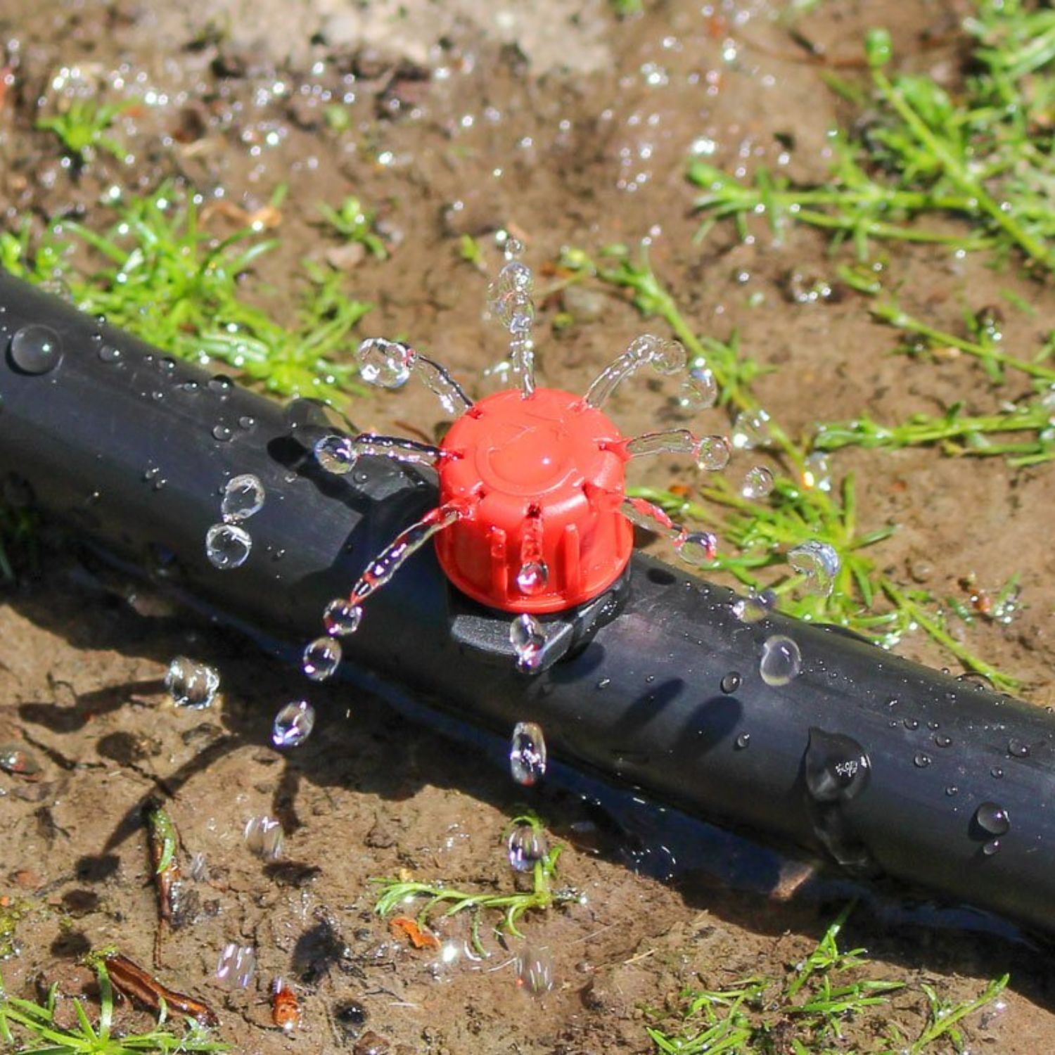 Inline Drip Irrigation Pipes