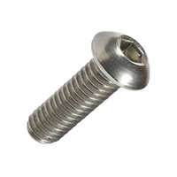 Silver Ss 304 Button Head Screw