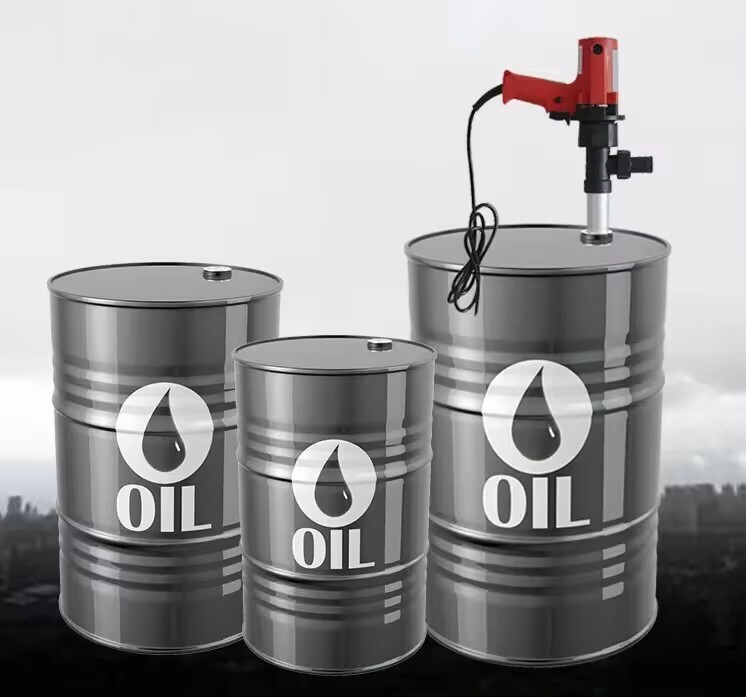 220v Portable Electric Barrel Pump Barrel Oil Pump for diesel fuel