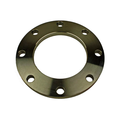 Titanium Flanges