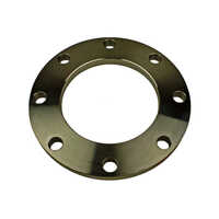 Titanium Flanges - Titanium Alloy Composition | Silver Finish, High Durability