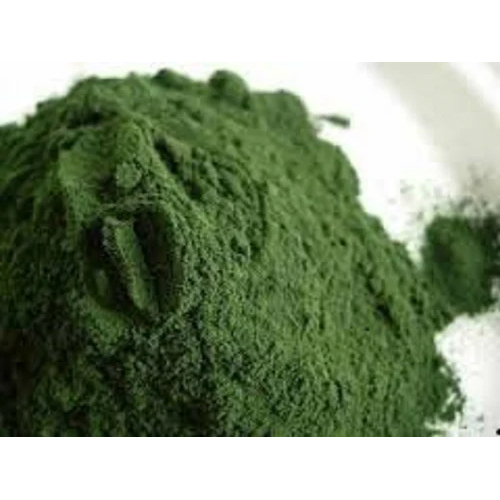 Green Seaweed Powder