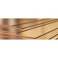 C17200 Beryllium Copper Sheet