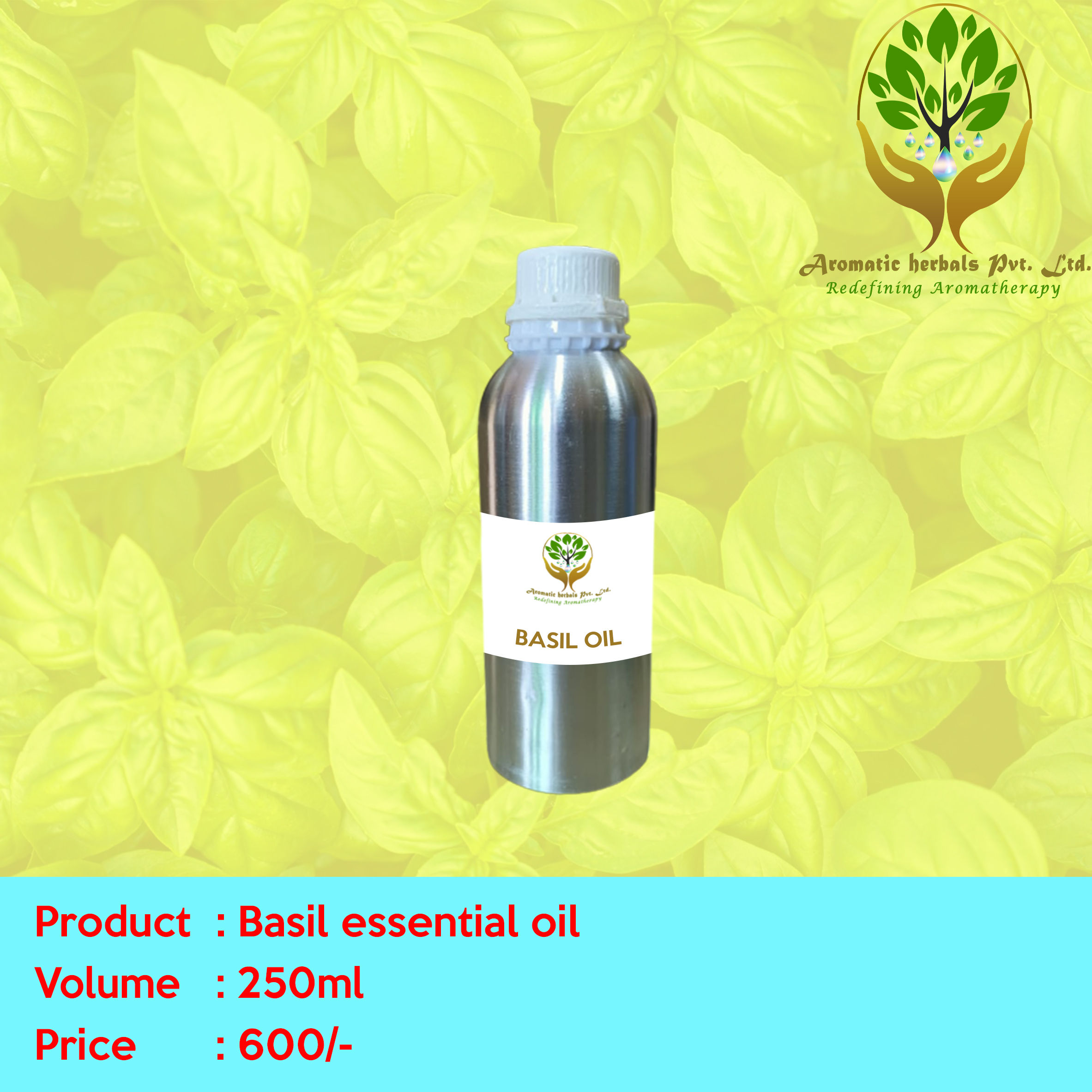 Basil oil