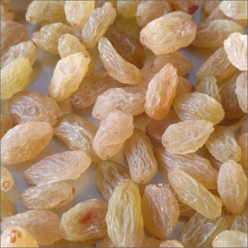 White Golden Hand Pick Raisins