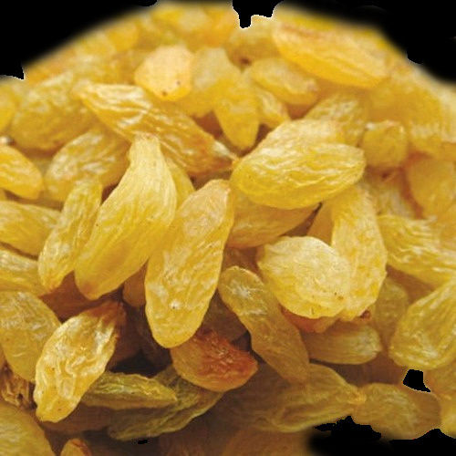 Common Hand Pick Golden Long Shape Raisins