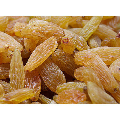 Common Golden White Long Shape Raisins