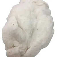 Raw Cotton Bale - Raw Cotton Material, White Color, Eco-friendly, Normal Cultivation, Ideal Filling Material For Various Applications