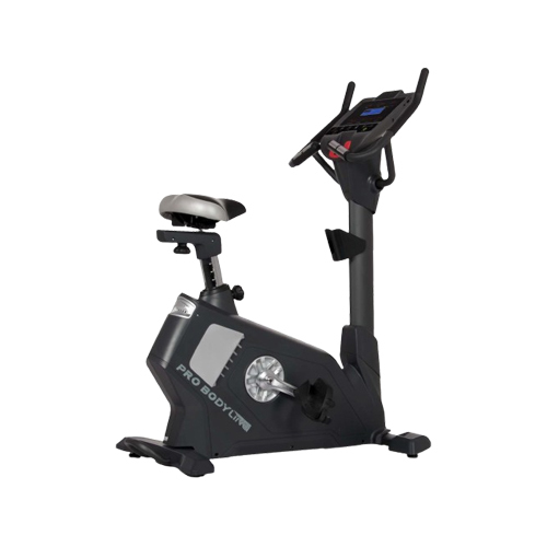 Upright Bike 951