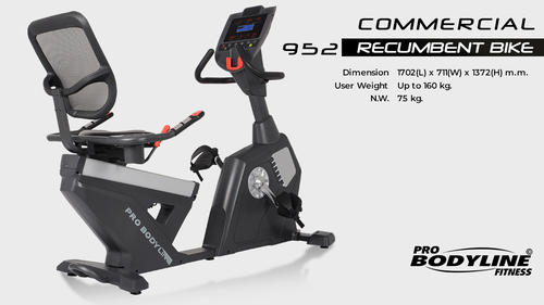 Commercial Recumbent Bike 952