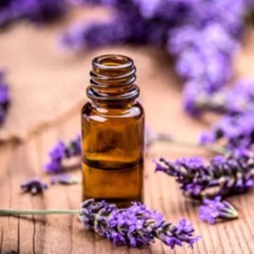 Lavender Oil Kashmir