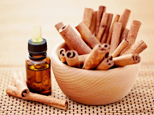 Cinnamon bark oil
