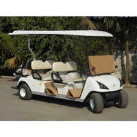 Electric Golf Cart