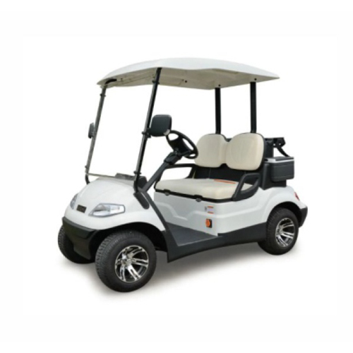 SA Electric 2 Seater Golf Cart