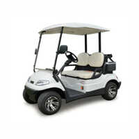 SA Electric 2 Seater Golf Cart