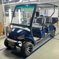 Regular Golf Cart