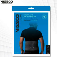 Eco Frame Back Support Vissco - Pc No - 0105- Size- S /M /L/XL/XXL