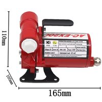 Fill-Rite 12v Mini Petrol Gasoline Transfer Pump for Diesel Gasoline