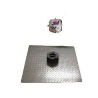 1200 x 1200 Platform Scale 1 ton with flameproof indicator