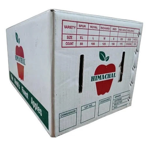 3 Ply Corrugated Fruit Packaging Boxes