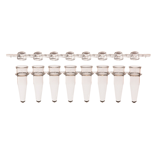 3132-00 0.2 mL 8-Strip PCR Tubes And Clear Dome Caps