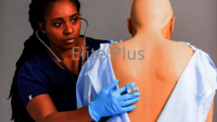Nursing Anne Simulator Male