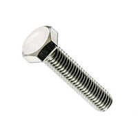 Silver Ss 304 Full Thread Hex Bolt