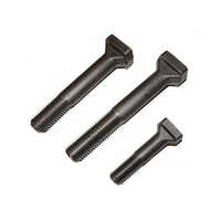 T Slot Bolts - Stainless Steel, 10 mm Size, Black Color, Polished Finish | Industrial Use, Half Thread Design, Hex Nut Compatibility