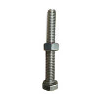 Ss 304 Hex Head Screws - Stainless Steel, 12 X 100 Mm, Silver Color, Full Thread, Slotted Drive Type | Polished Finish, Industrial Usage, Material Grade 304