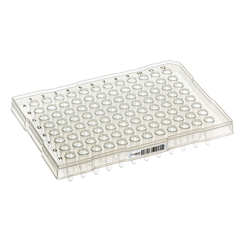 3425T00 0.2 mL PCR Plate