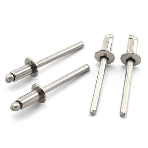 Silver Stainless Steel Rivet