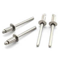 Stainless Steel Rivet - 10 mm Length 1 mm Diameter Silver Color 2.5 mm Diameter | Industrial Grade SS04 Usage