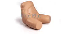 Interchangeable Catheterization and Enema Task Trainer