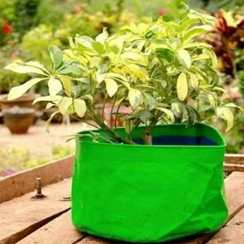 12X12 Inch Hdpe Grow Bag Durable